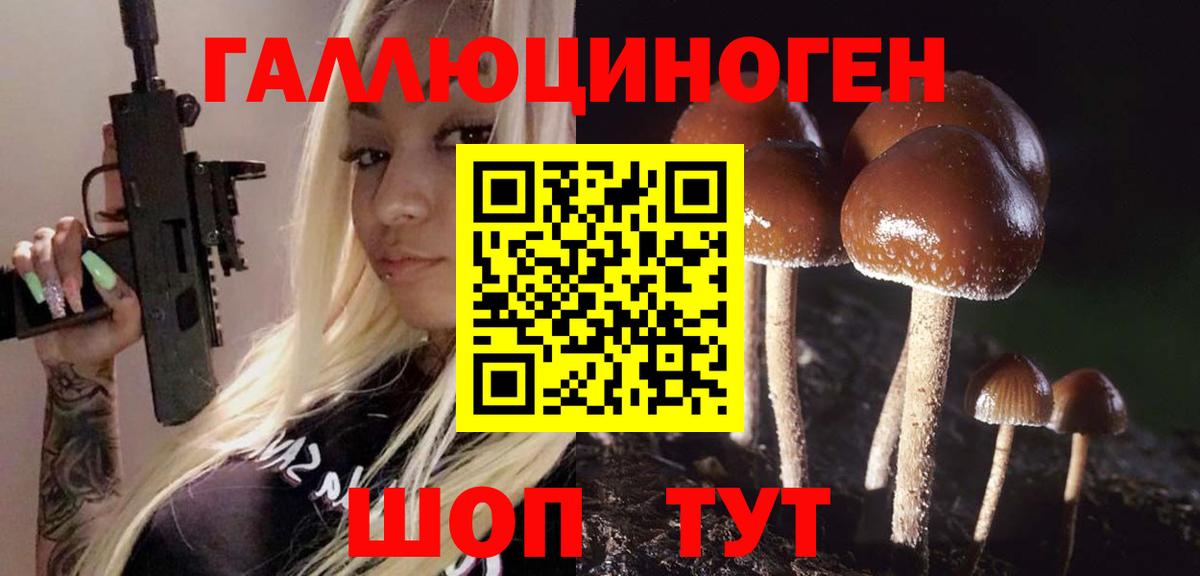 Галлюциногенные грибы Psilocybine cubensis  Вход с VPN  Рязань 